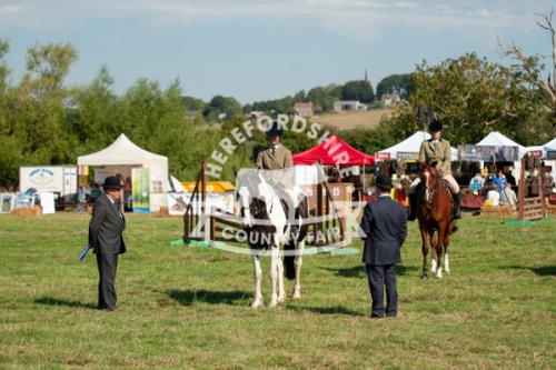 herefordshire_countryside_fair_lowRes-27